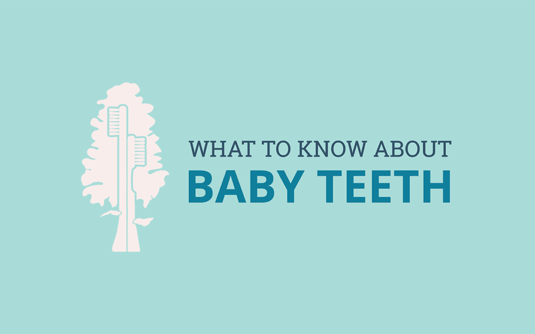 What to Know About Baby Teeth